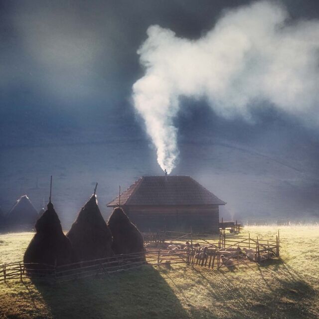 Divja Transilvanija: Skrivno kraljestvo Drakule