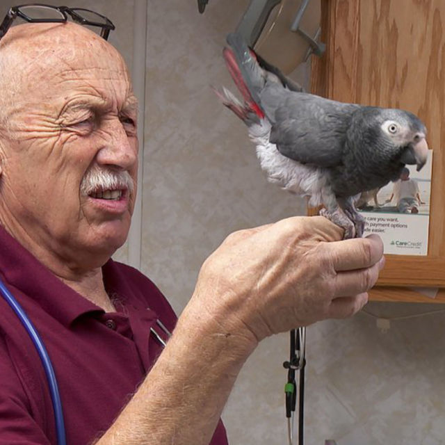 Dr. Pol: Slavje ob 200. oddaji