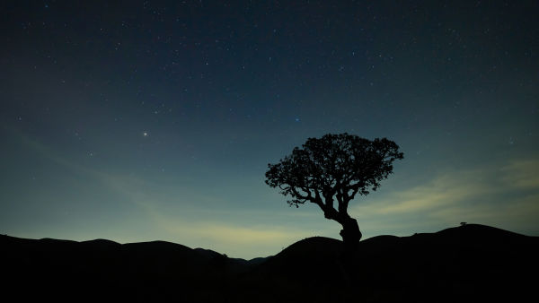 Nilgiriler: Mavi Dağların Hikayesi