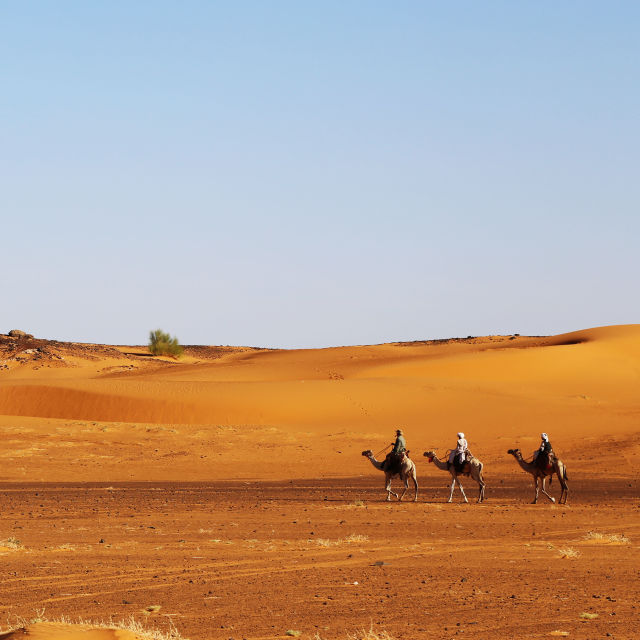 Siyahi Firavunlar: Altın İmparatorluğu