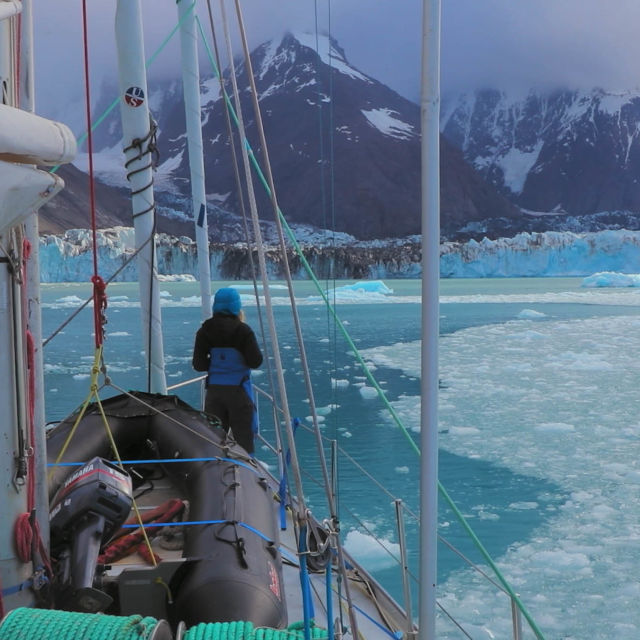 Bertie Gregory ile Kutuplar Özel