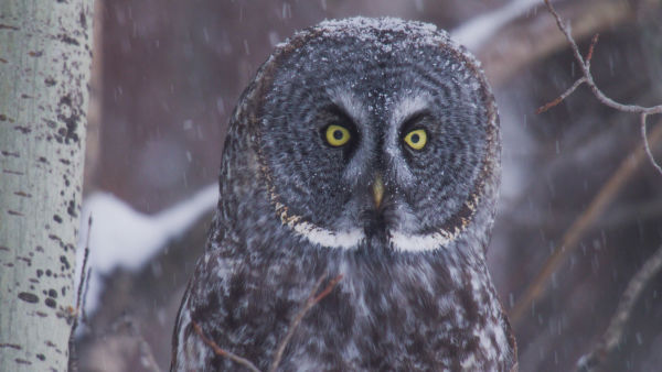 Amerika'nın Ulusal Parkları 2