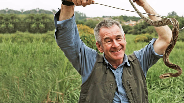 En Ölümcül 10 Yılan