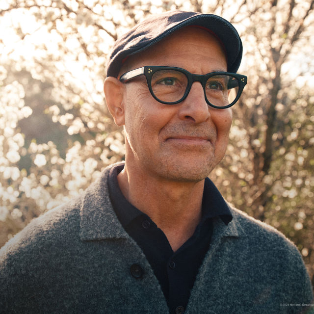 Tucci In Italy
