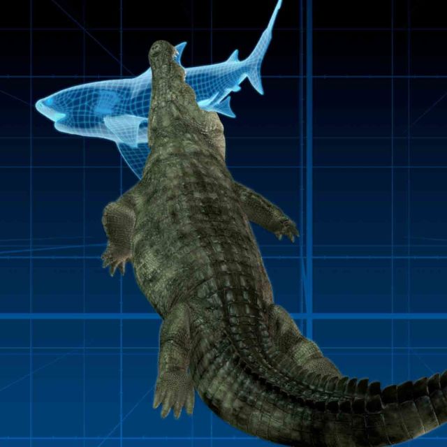 The Croc That Ate Jaws
