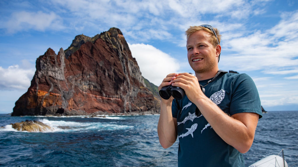 Dolphins Up Close with Bertie Gregory - National Geographic - For everyone  in everywhere