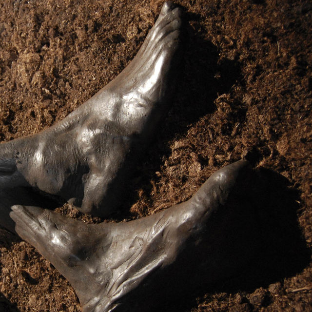 Mummies Frozen In Time
