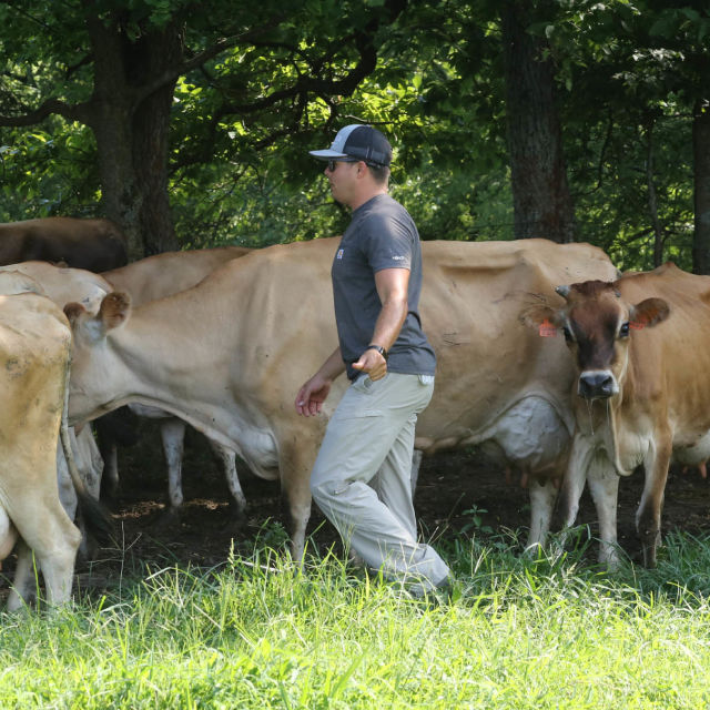 The Hatcher Family Dairy