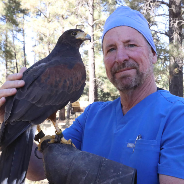 The Wild Life Of Dr. Ole