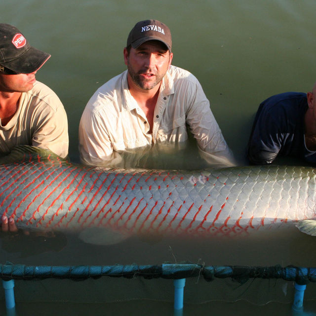 Monster Fish