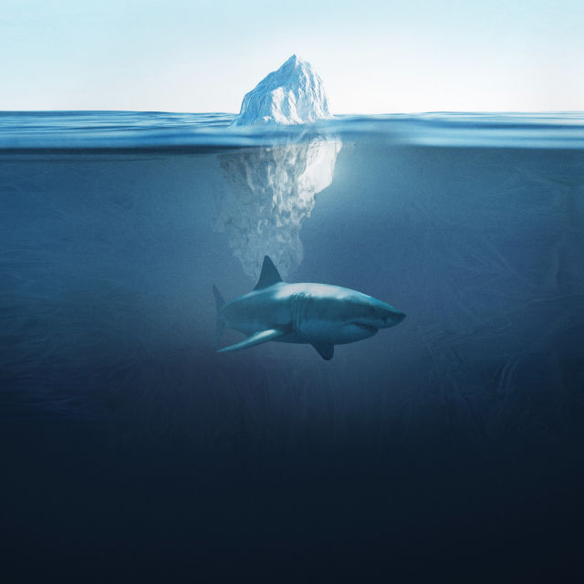 Shark Below Zero