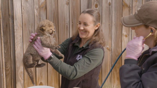 Secrets Of The Zoo: Keeper Tales