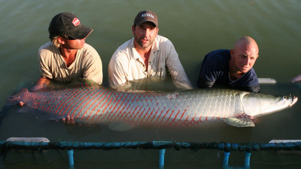 Monster Fish