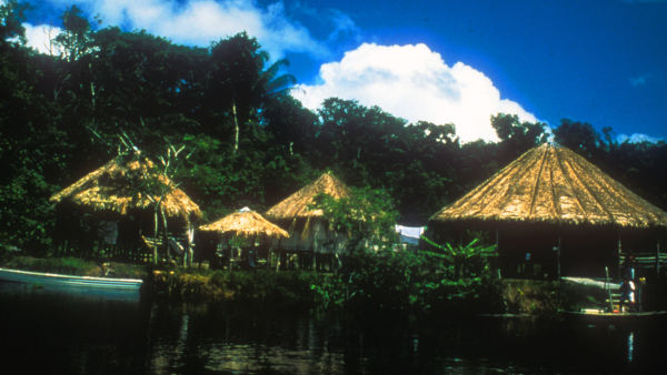Amazonia