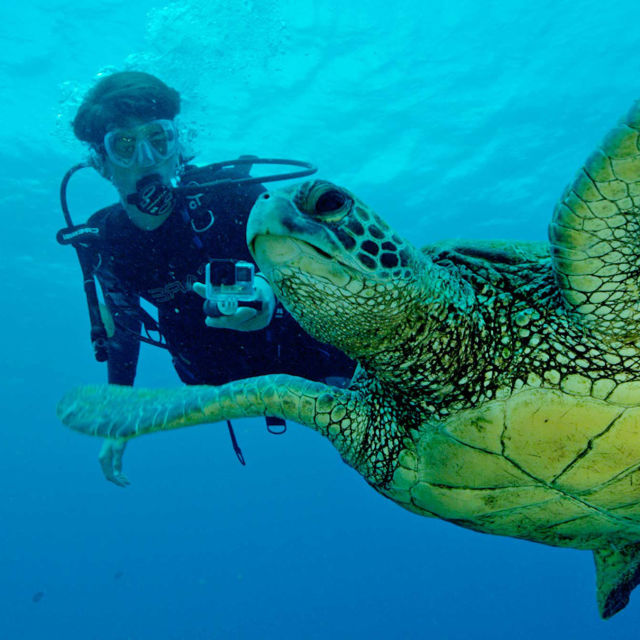 Sea of Hope: America's Underwater Treasures
