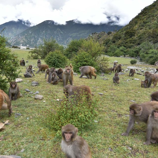 China's Wild Side: Hidden Worlds