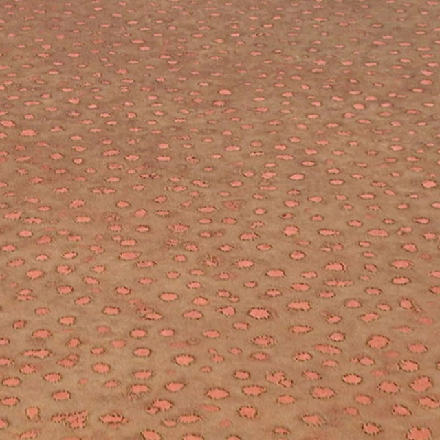 Stranger Than Nature Compilations