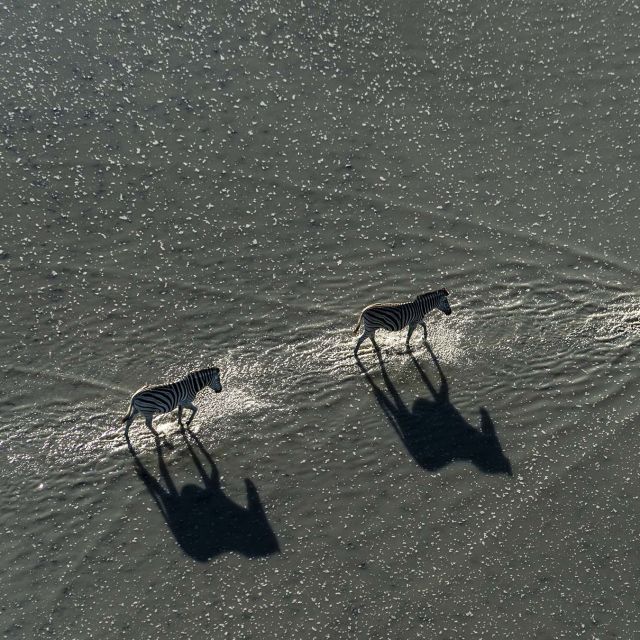 Okavango: River of Dreams: Divine Journeys
