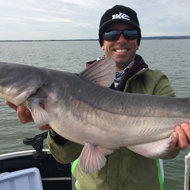Fish My City: Big City, Big Fish