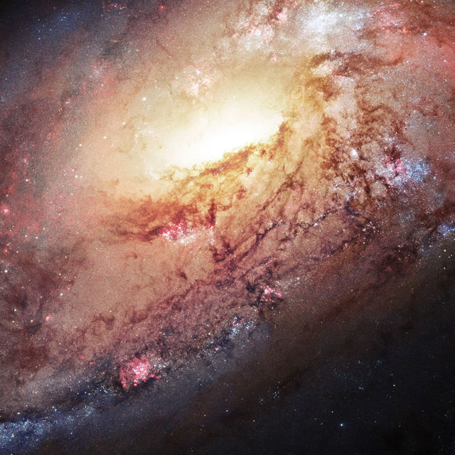 Hubble's Amazing Journey