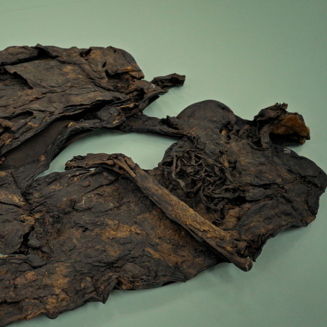 Ancient Bodies: Secrets Revealed